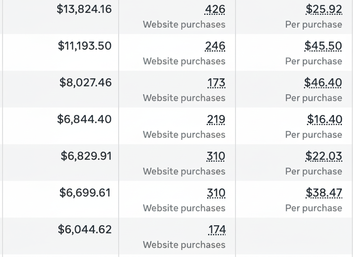 Facebook Ads results displaying 892 purchases with $16,547 spend demonstrating profitable low-ticket scaling